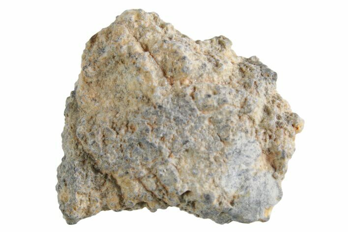 Lunar Meteorite ( g) - Bechar #360379